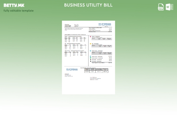 модерен стил Флорида Град Талахаси Флорида Шаблон за деловна сметка за вашите со